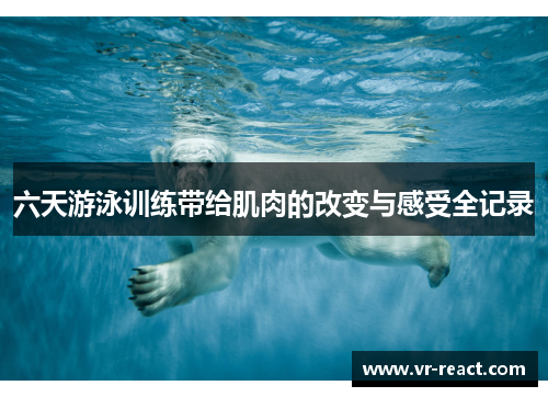六天游泳训练带给肌肉的改变与感受全记录