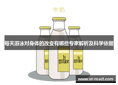 每天游泳对身体的改变有哪些专家解析及科学依据