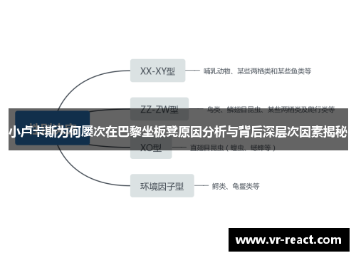 小卢卡斯为何屡次在巴黎坐板凳原因分析与背后深层次因素揭秘