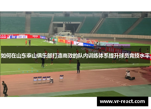 如何在山东泰山俱乐部打造高效的队内训练体系提升球员竞技水平
