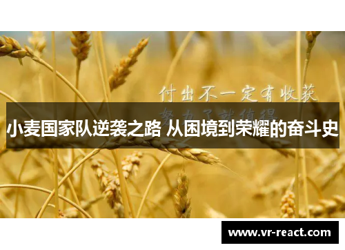 小麦国家队逆袭之路 从困境到荣耀的奋斗史
